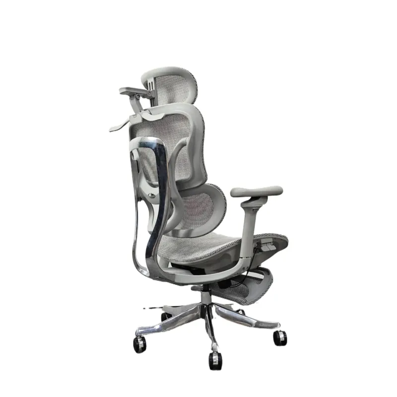 Ergonomischer Bürostuhl für Co – Home Office Work Bewertung und Preis