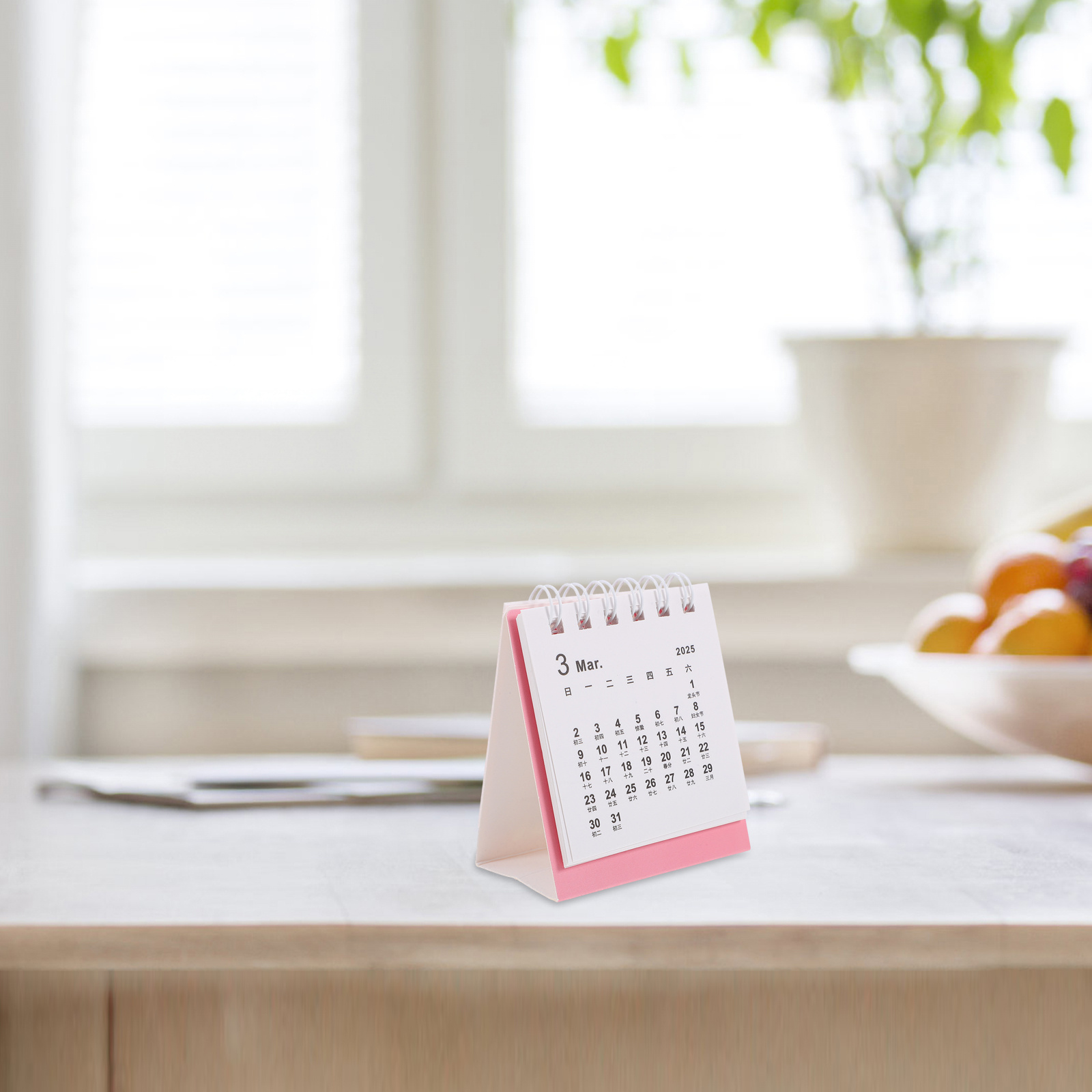 Mini-Tischkalender, weißer Has – Home Office 2024 Bewertung und Preis